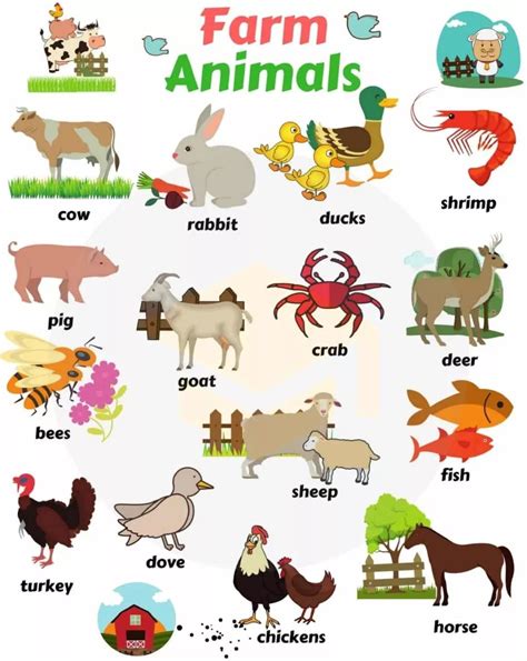 那里有很多动物的英语