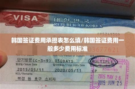 韩国留学签证费用一般多少费用标准