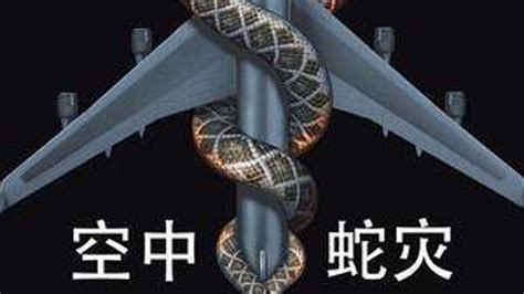 飞机上有蛇的电影