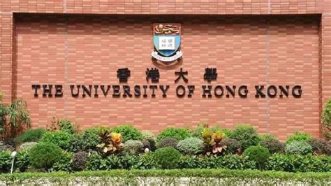 香港大学本科几年