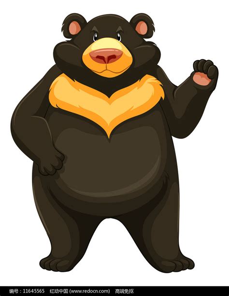 黑熊动画图片
