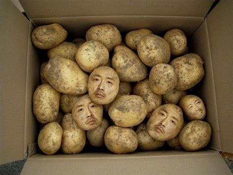 하정우 감자