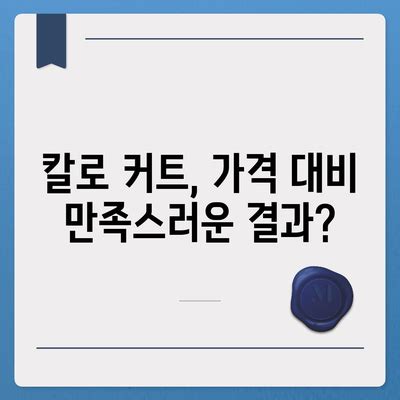 하정우 칼로 커트 가격