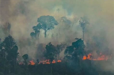 2019亚马逊森林火灾