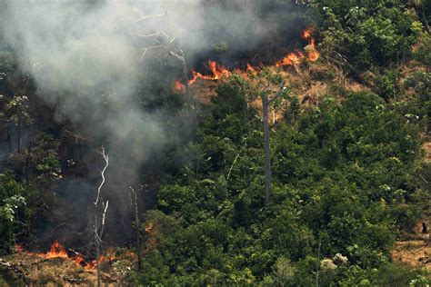 2019年亚马逊森林火灾