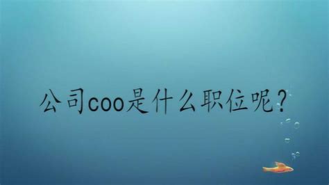 coo是什么意思中文