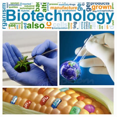 food science and biotechnology