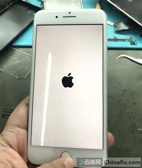 iphone7plus白苹果