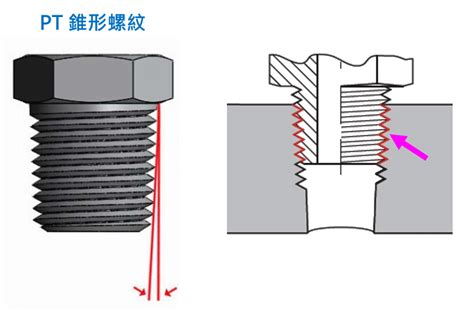 Pt是什么意思的缩写 Pt是什么单位的缩写 桔可网