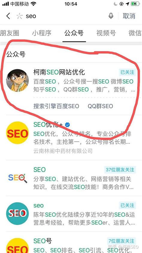 seo优化 信科网络