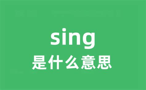 sing是什么意思