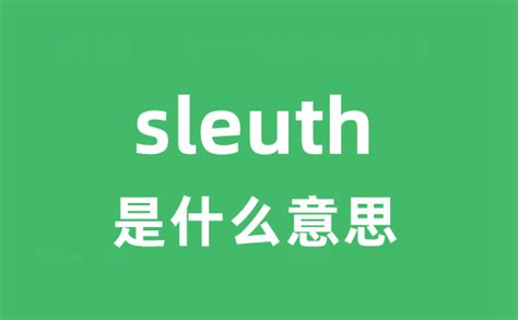 sleuth是什么意思