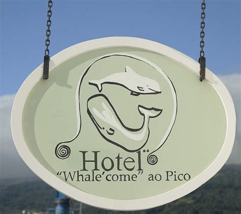 the hotel whale