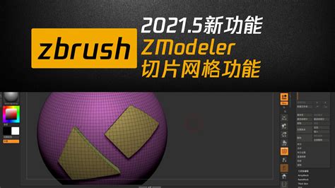 zbrush2021.5.1破解