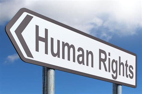 关于国家人权行动计划的相关介绍