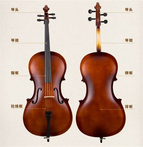 大提琴的术语