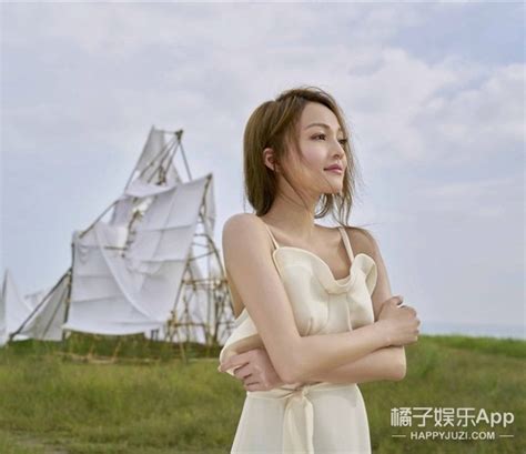 张韶涵《遗失的美好》 最新单曲试听歌词