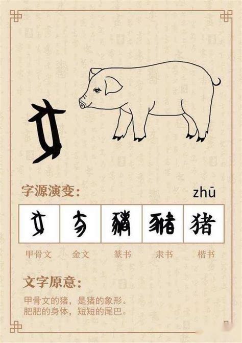 猪怎么读拼音笔顺 猪字组词及相关成语