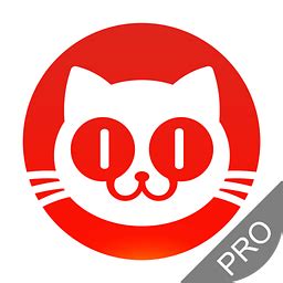 猫眼专业版pro是什么意思? (猫眼专业版app和灯塔专业版app有什么区别吗?)