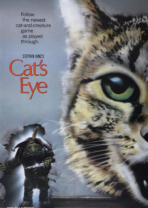 猫眼电影是哪个城市的