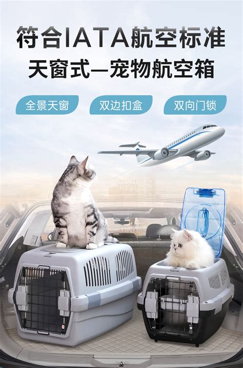 貓咪托運多少錢飛機