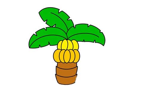 香蕉树简笔画(香蕉树简笔画步骤)